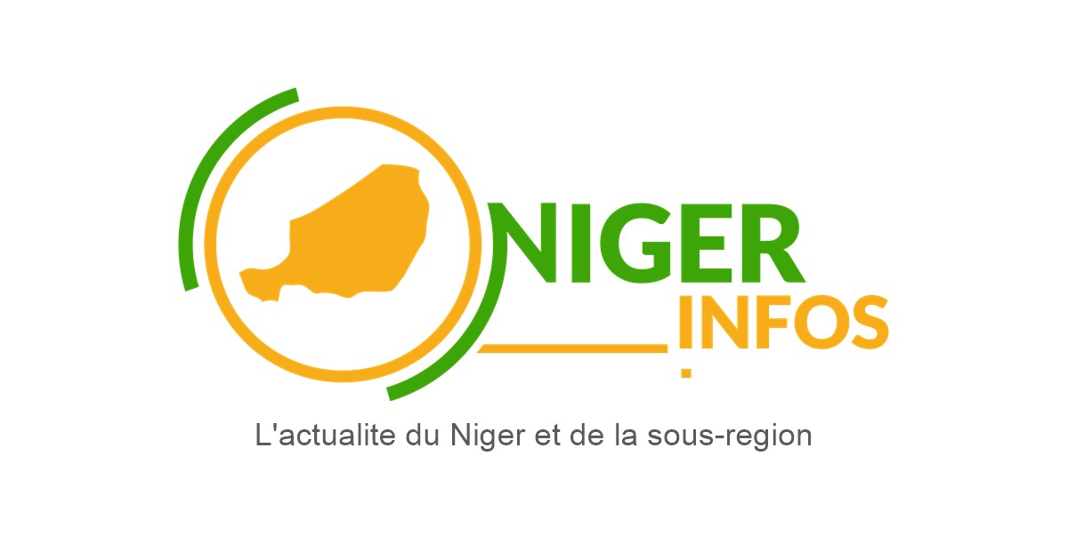 Successful R Production Safeguarding Advisor - Francophone — MSI Reproductive Choices — NigerInfos