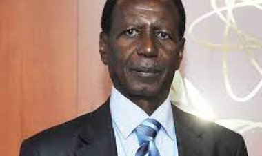 Foumakoye Gado confirmé à la tête du Parti Nigérien pour la Démocratie et le Socialisme