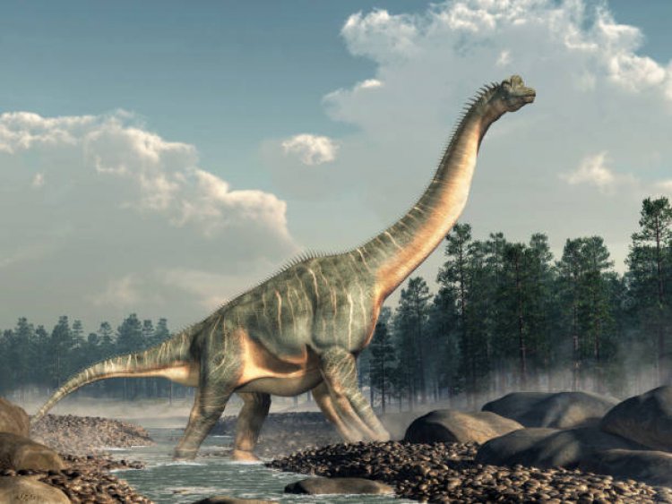 Des paléontologues découvrent cinq sauropodes articulés dans le désert du Niger