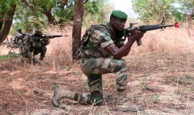 Opérations militaires à la frontière sénégalo-gambienne : un soldat tué, sept blessés