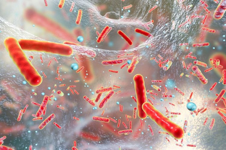 Une découverte révolutionnaire : des chercheurs découvrent 2 603 agents antibiotiques naturels dans le génome humain
