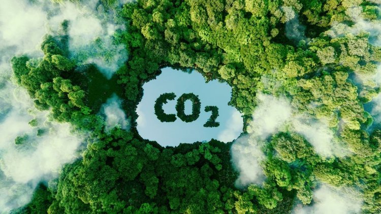 Les projets d'élimination du CO2 actuels sont largement insuffisants pour atteindre les objectifs climatiques