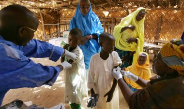 Une épidémie de méningite à méningocoques fait rage au Niger : 559 cas signalés et 18 décès