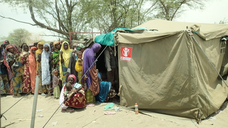 Crise Humanitaire et Sécurité Alimentaire au Niger : Causes et Solutions Urgentes