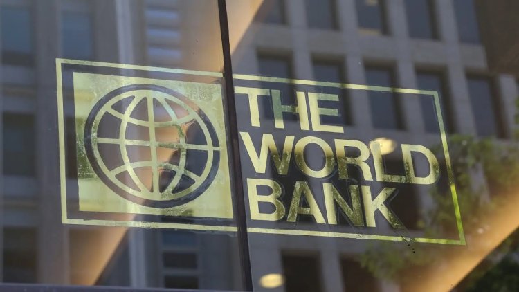 Financement Colossal de 610 Milliards de FCFA par la Banque Mondiale pour la Modernisation Agricole au Niger : Entre Aide Externe et Souveraineté Régionale
