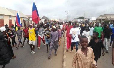 Arrestation de Sept Polonais au Nigeria : Les Drapeaux Russes en Pleine Manifestation Contre la Crise Économique