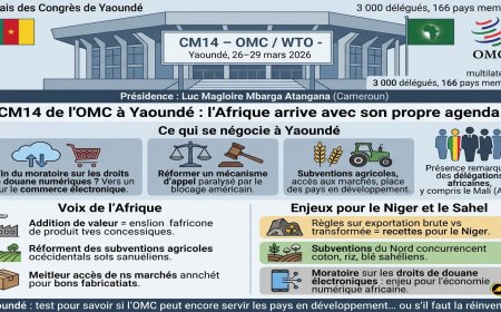 CM14 OMC Yaoundé 2026 : ce qui se négocie du 26 au 29 mars en Afrique centrale