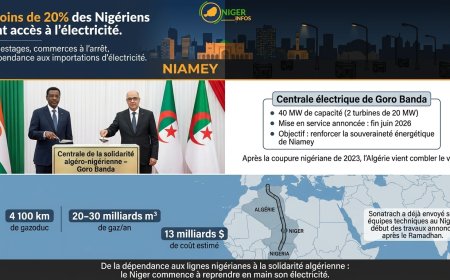 Niger-Algérie : une centrale électrique, 20 accords, et un gazoduc qui change tout