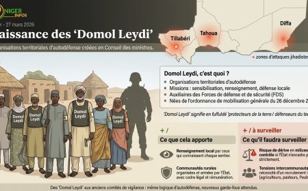 Niger : les "Domol Leydi" entrent en scène, Niamey arme ses terroirs contre le jihadisme