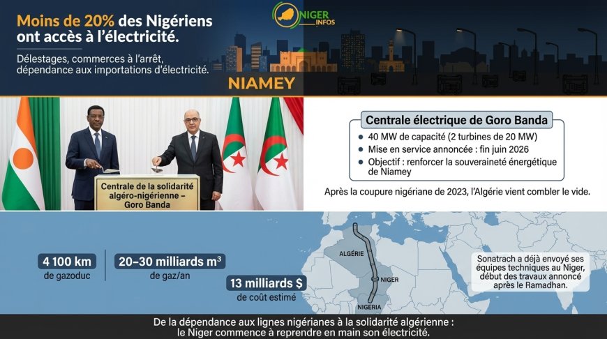 Niger-Algérie : une centrale électrique, 20 accords, et un gazoduc qui change tout