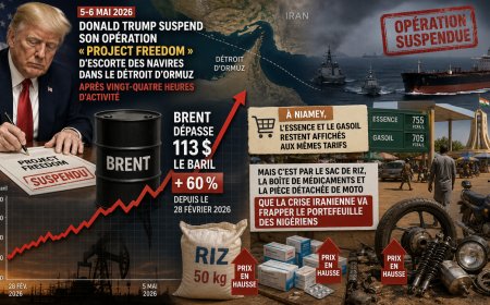 Trump suspend « Project Freedom », ce que la crise iranienne va coûter au portefeuille nigérien